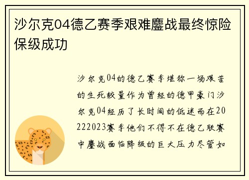 沙尔克04德乙赛季艰难鏖战最终惊险保级成功